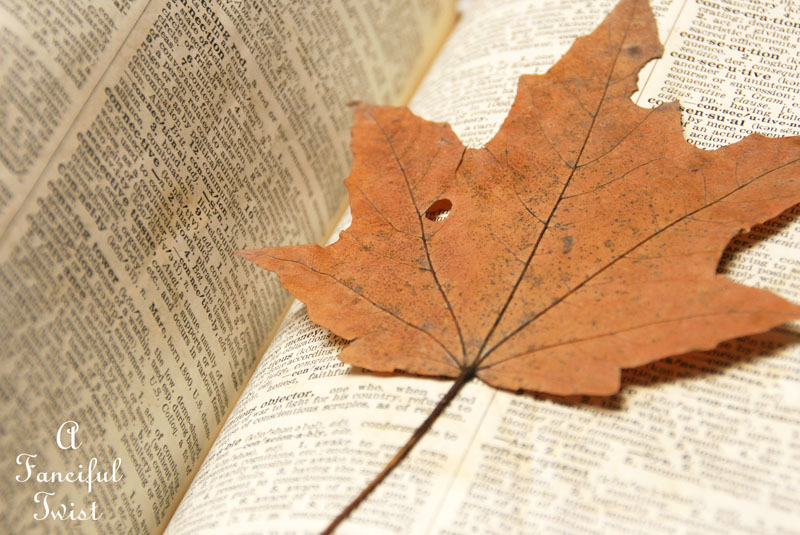 Spring collecting 14 Spring collecting 14