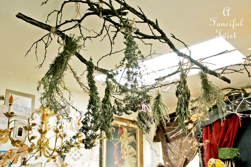 Spring collecting 9 Spring collecting 9