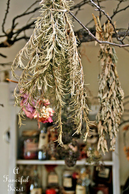 Spring collecting 10 Spring collecting 10