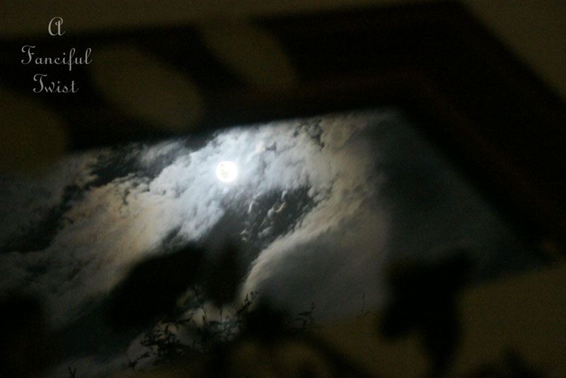 Dreaming up 3 Dreaming up 3