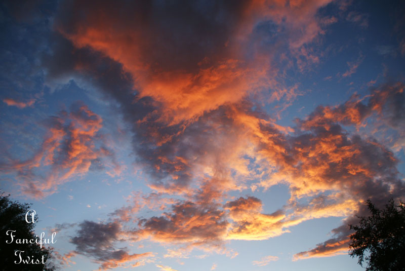 Michelangelo Skies 6 Michelangelo Skies 6