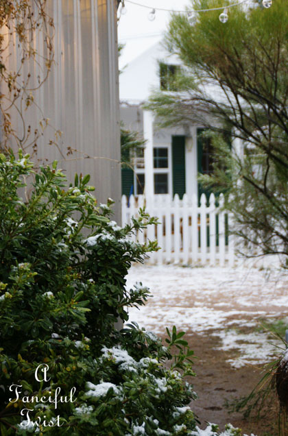 Snow dogs 20 Snow dogs 20