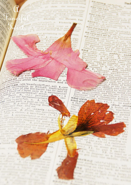 Spring collecting 7 Spring collecting 7