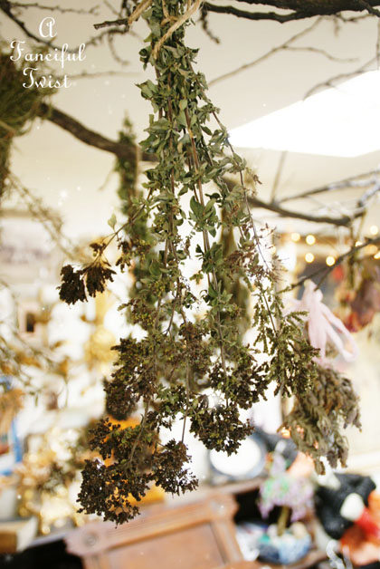 Spring collecting 16 Spring collecting 16