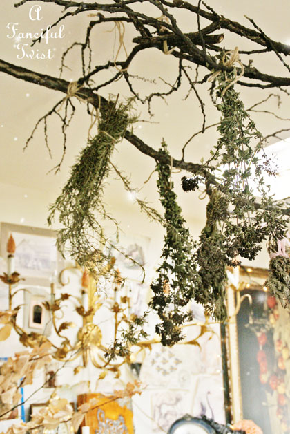 Spring collecting 18 Spring collecting 18