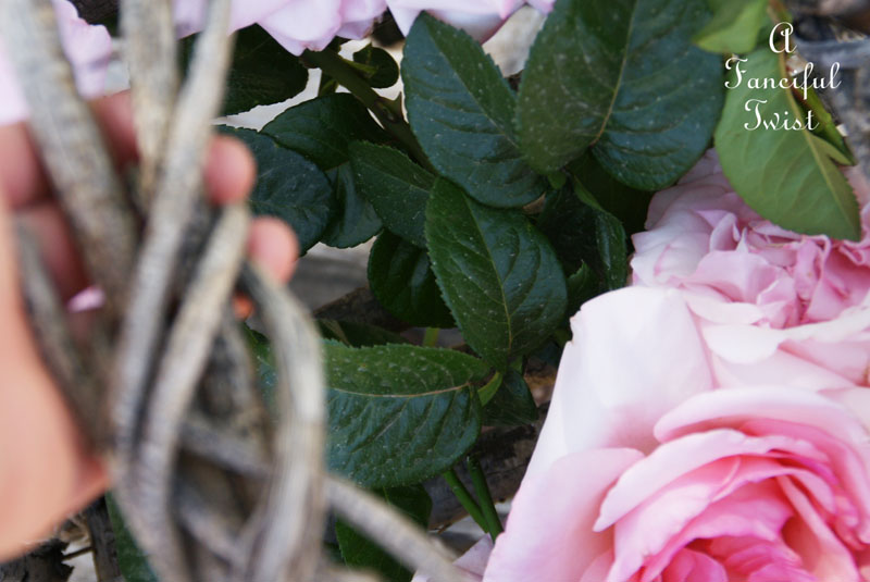 Ford and rose 1 Ford and rose 1