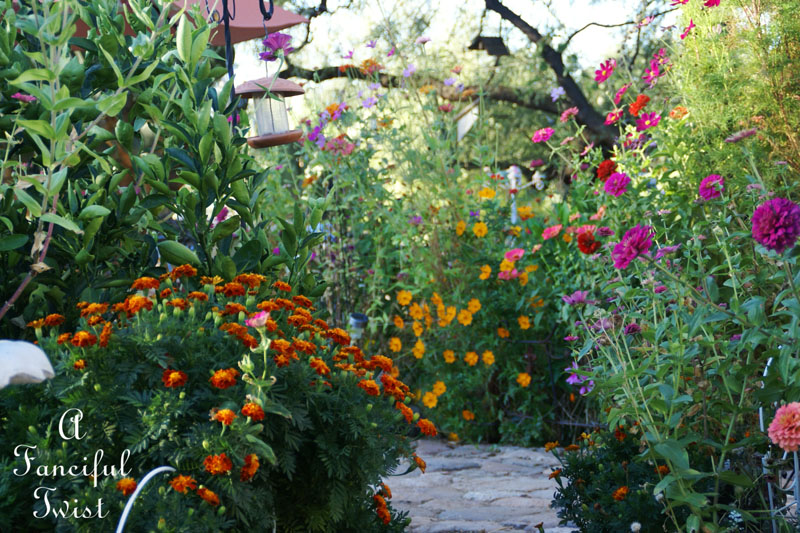 October flowers 4 October flowers 4