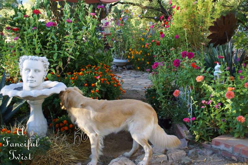 October flowers 3 October flowers 3