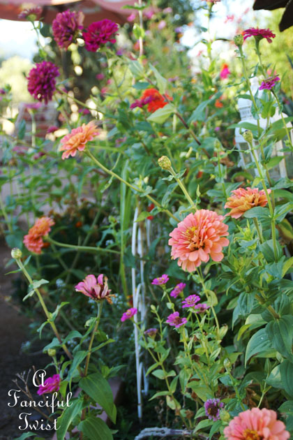 October flowers 12 October flowers 12