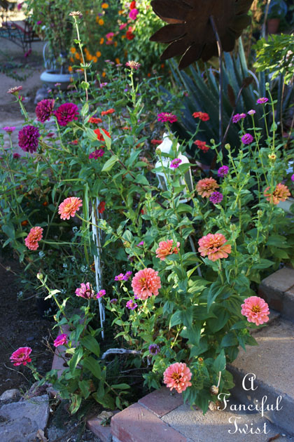 October flowers 14 October flowers 14