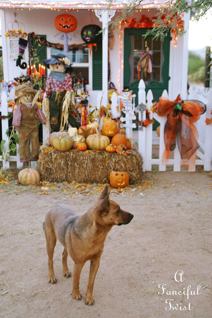 Halloween Party 8 Halloween Party 8