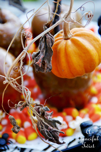 Halloween Party 12 Halloween Party 12