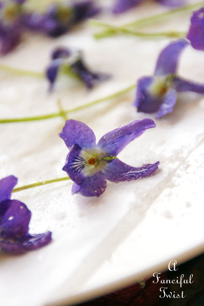 Candied violets 3 Candied violets 3