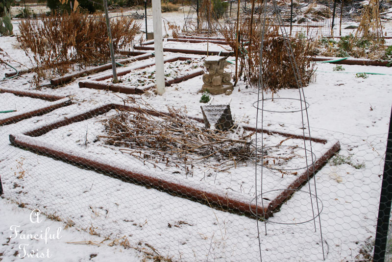 Snow dogs 16 Snow dogs 16