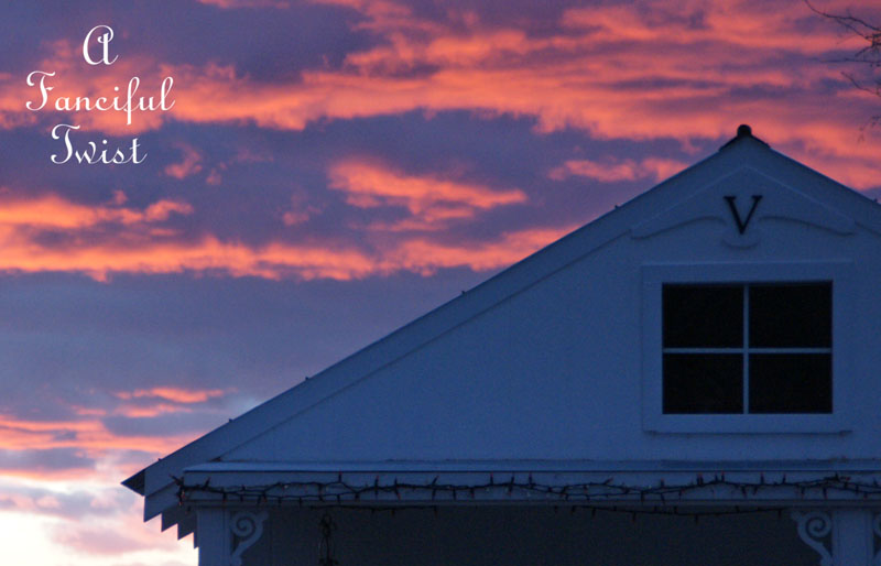 Snow dogs 14 Snow dogs 14