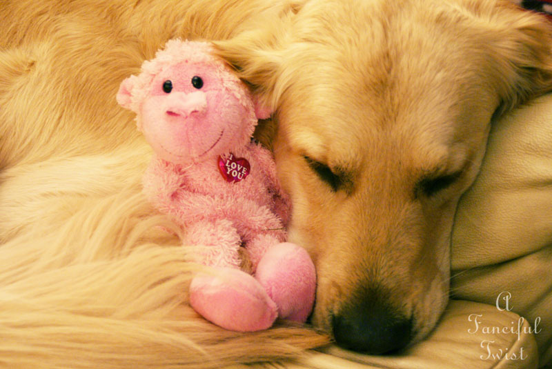 Valentines day 2 Valentines day 2