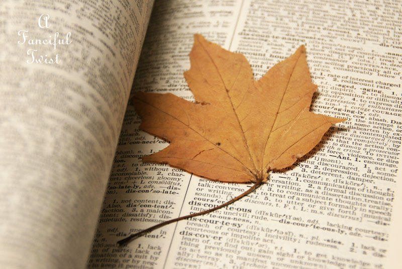 Spring collecting 3 Spring collecting 3