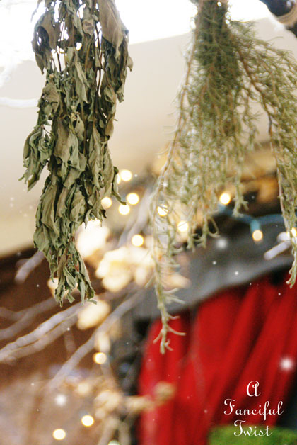 Spring collecting 17 Spring collecting 17