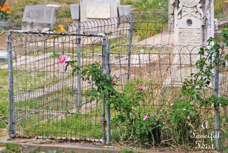 Cemetery 30 Cemetery 30