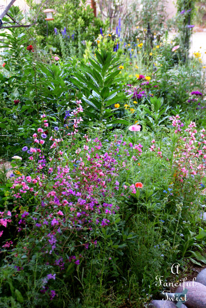 Growing garden 3 Growing garden 3