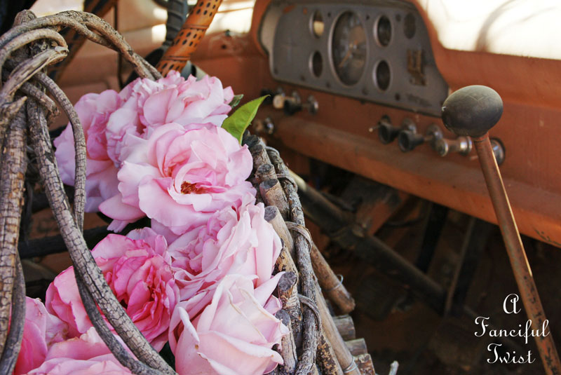 Ford and rose 3 Ford and rose 3