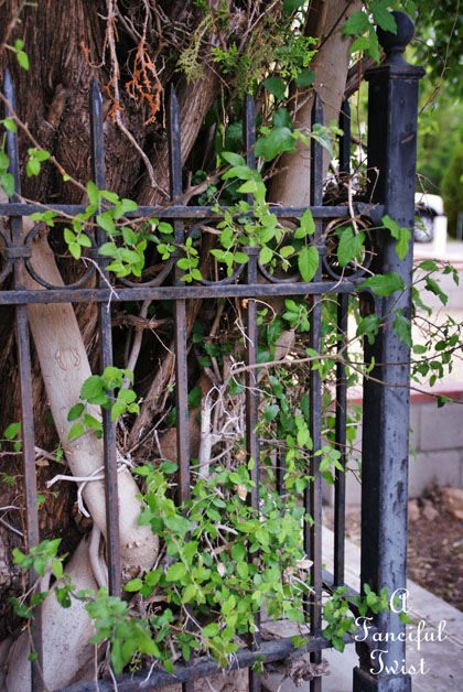 Cemetery 28 Cemetery 28