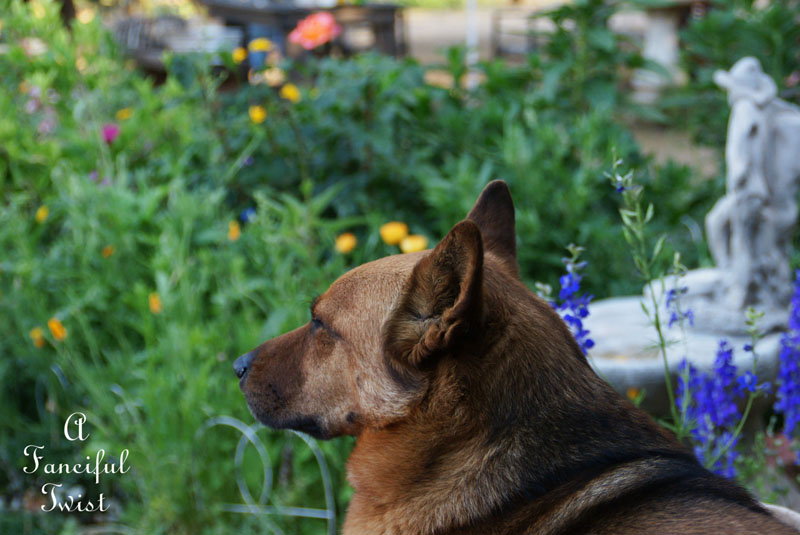 Growing garden 2 Growing garden 2