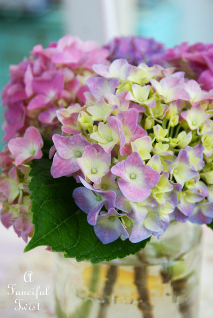 Growing garden 27 Growing garden 27