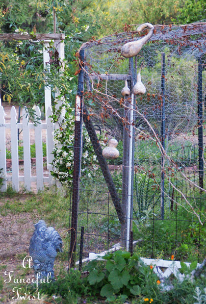 Growing garden 21 Growing garden 21