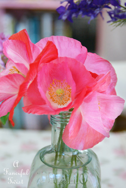 Growing garden 28 Growing garden 28