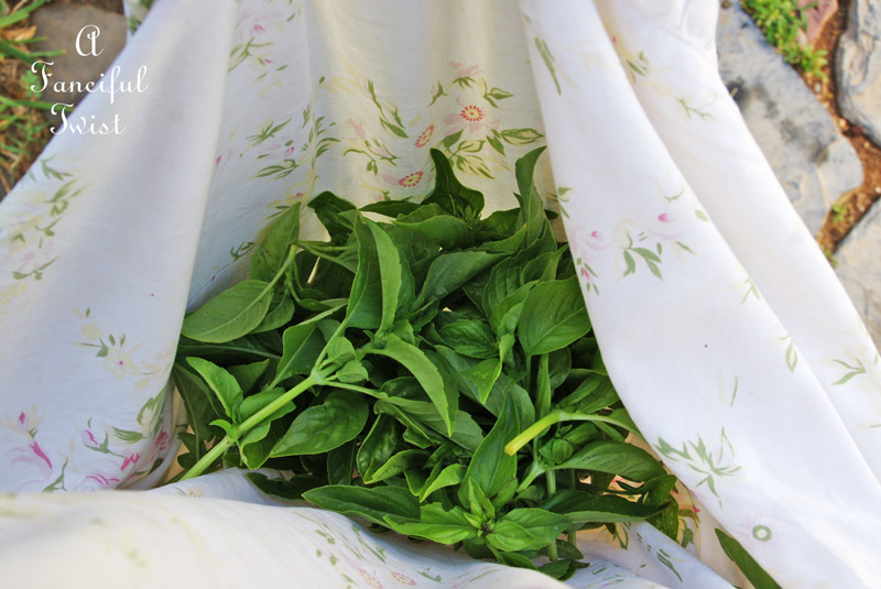 This and that 13 This and that 13