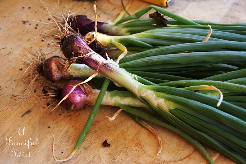 In the kitchen 4 In the kitchen 4