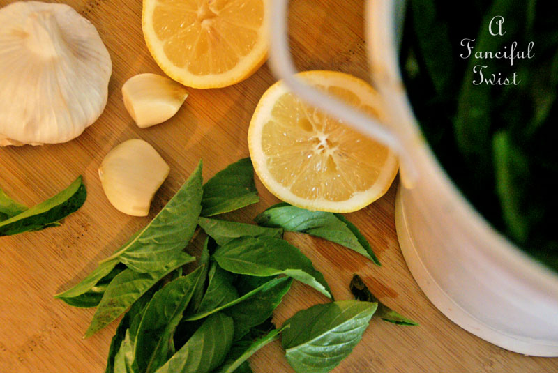 In the kitchen 15 In the kitchen 15