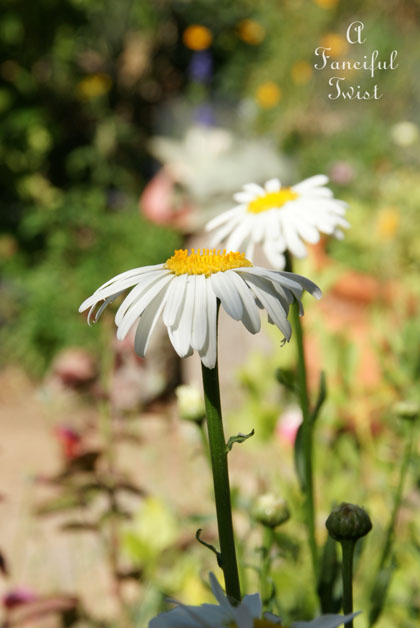 In the kitchen 16 In the kitchen 16