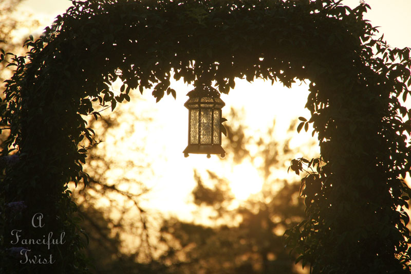 Summer garden 16 Summer garden 16