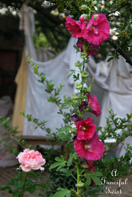 Summer garden 15 Summer garden 15