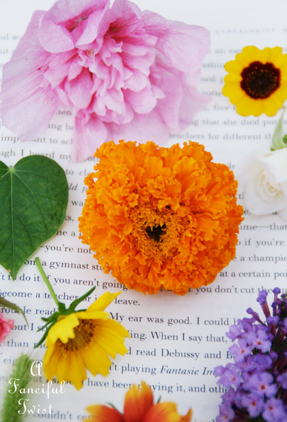 Book love 2 Book love 2