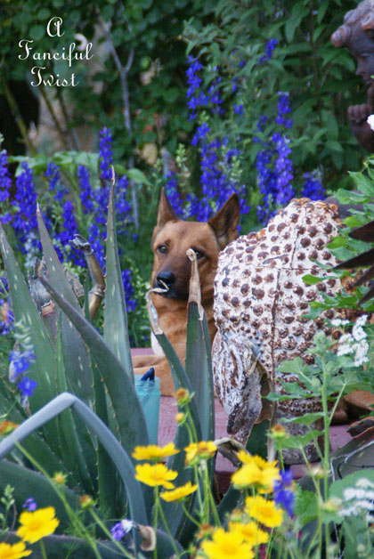 Growing garden 9 Growing garden 9