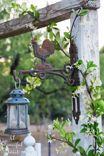 Growing garden 19 Growing garden 19