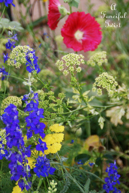 Growing garden 37 Growing garden 37