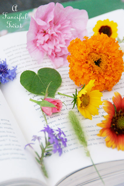 Book love 6 Book love 6