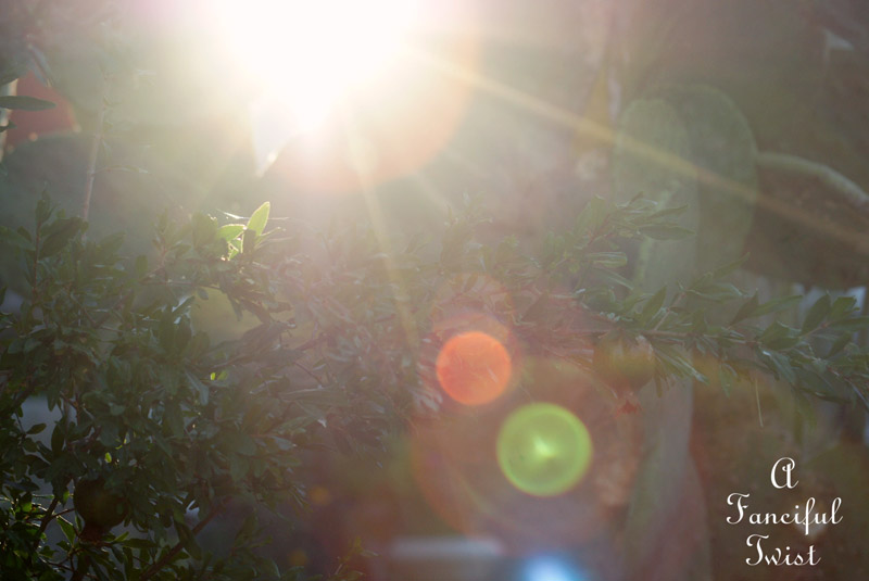 Sunbeam Sunbeam