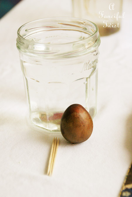 Growing an avocado plant 3 Growing an avocado plant 3