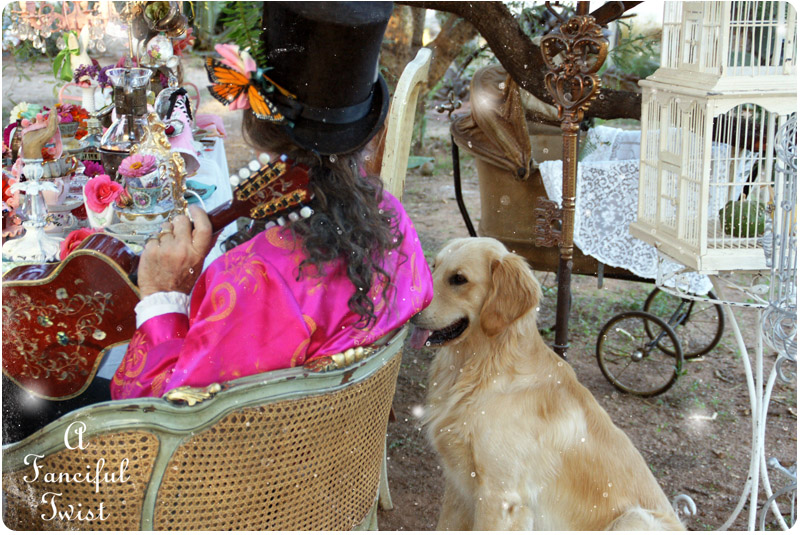 Mad hatter lovee Mad hatter lovee