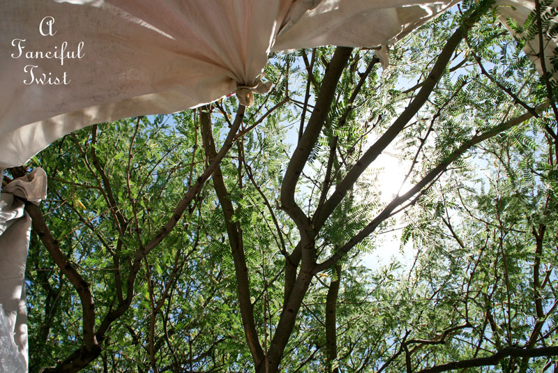 Garden bath 14 Garden bath 14