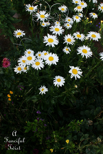 Summer garden 18 Summer garden 18