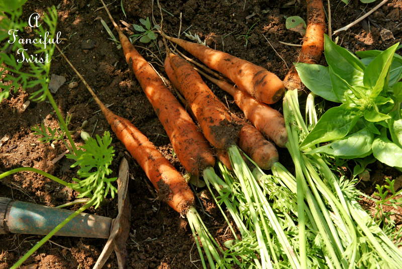 Carrot cake cupcakes 7 Carrot cake cupcakes 7