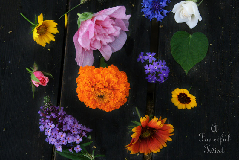 Book search 1 Book search 1