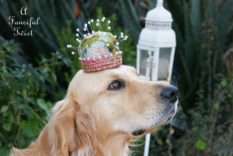 Princess pincushion 18 Princess pincushion 18