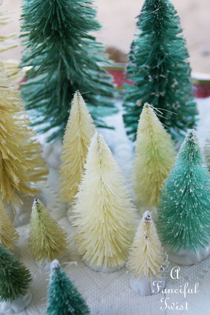 Bottle brush trees 6 Bottle brush trees 6